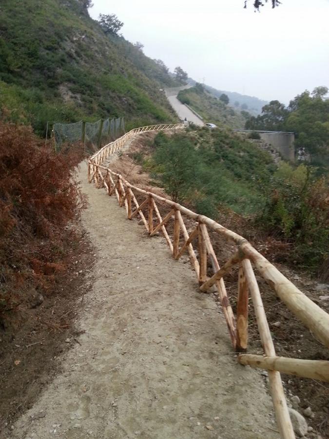 阿尔巴住宿加早餐旅馆 Gagliato 外观 照片